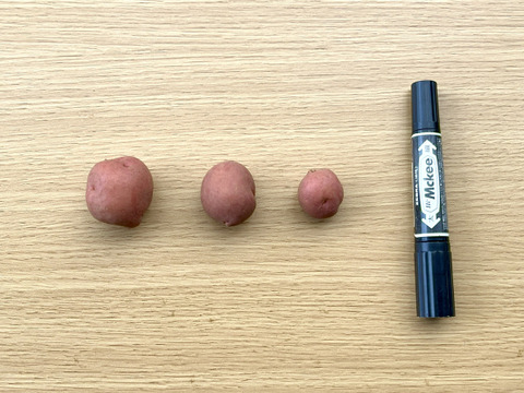 【値下げ】ちびちびサイズ！「アンデスレッド」 2キロ箱【規格外】