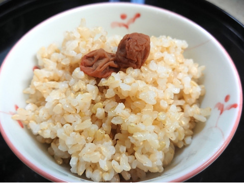 新米 コシヒカリ 玄米 真空パック５ｋｇ