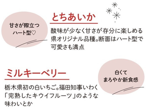 『ミルキーベリー』フレーズのこだわりいちご260×4パック