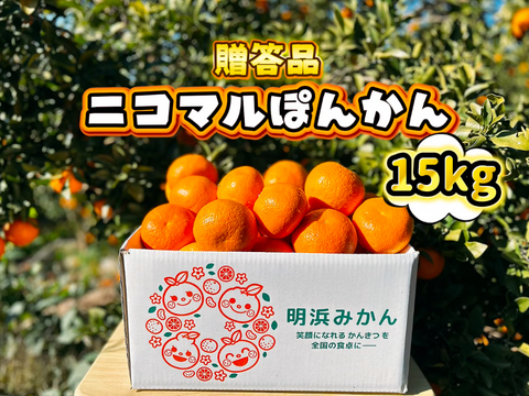 【愛媛県産】季節限定　甘味がギュッと詰まったポンカン　贈答用　15ｋｇ