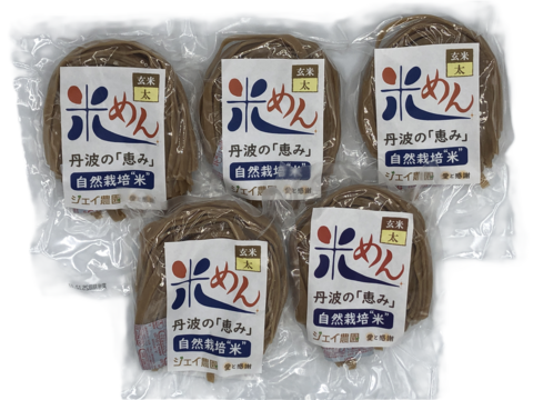 もっちもちの食感！自然栽培で育った玄米の旨味たっぷりのおいしい米めん（太麺）5袋セット（100ｇ×5）