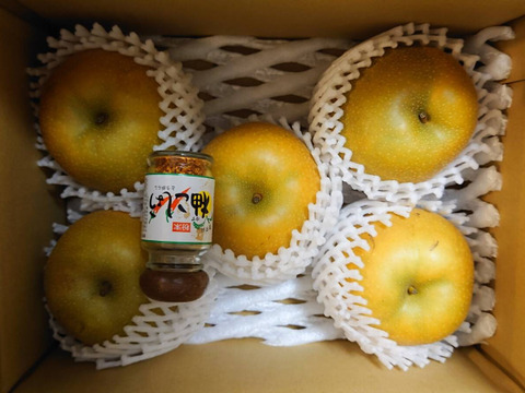 鳥取県産梨『新甘泉』2kg(4~6玉) 秀品
