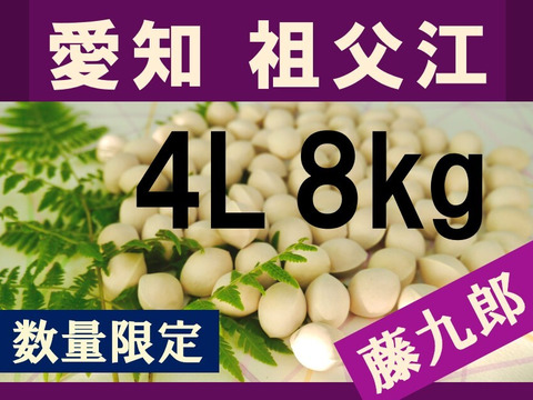 2025年新物！ 愛知県　祖父江産　藤九郎　銀杏　ぎんなん　4L 8kg    ☆秋の味覚☆