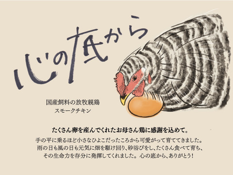 親鶏のスモークチキン