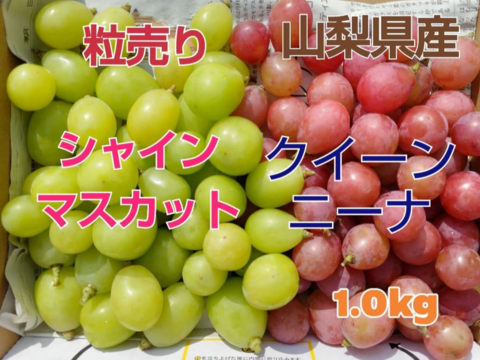🍇【山梨県笛吹市産】【粒で楽しむ2品種食べ比べ】シャインマスカット