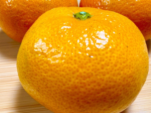 年末用　高糖度登録園みかん　１０ｋg