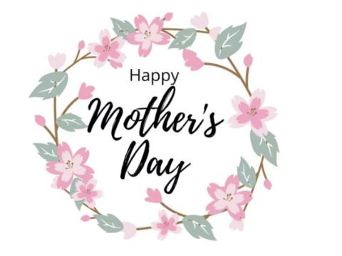 【母の日ギフト】ピンクレディー™1kg｜ありがとうを贈る大人のりんご（カード付）