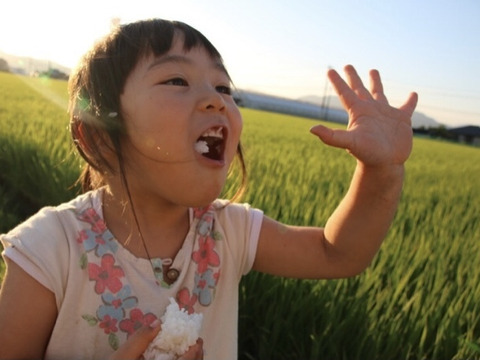 【令和3年度産】 玄米独特の癖がなく食べやすい！九州お米コンテストで7位入賞の"さがびより"（玄米5kg）