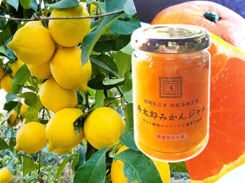 【数量限定】紀ノ国屋×仲屋コラボ商品「寿太郎みかんジャム」& 西浦れもん1.5キロ（防腐剤・ワックス不使用） 詰め合せ 【仲屋 海瀬農園】
