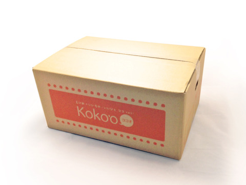 【予約】はるか〈秀品〉約10kg　※発送は3月上旬頃～