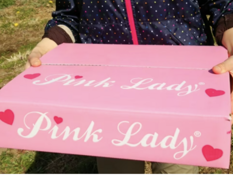 【母の日ギフト】ピンクレディー™ 3kg箱｜ありがとうを贈る大人のりんご（カード付）