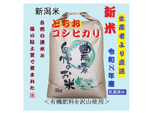 【令和8年産新米】【10〜12月限定 旬だけ定期便】新潟・とちお産コシヒカリ5kg｜棚田育ち・雪どけ水と山の湧水が育むお米（送料相当値引き中）