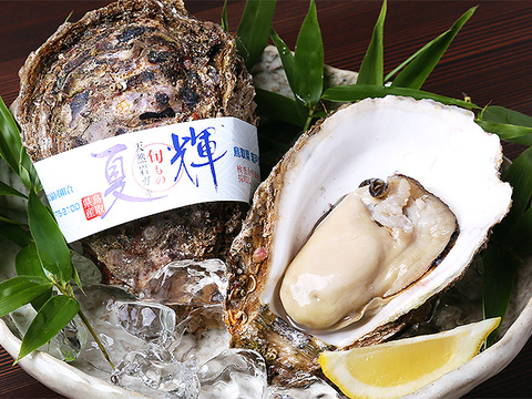 【夏の御馳走】夏輝/鳥取沖産/天然岩牡蠣/中サイズ/20個【生】【夏ギフト】