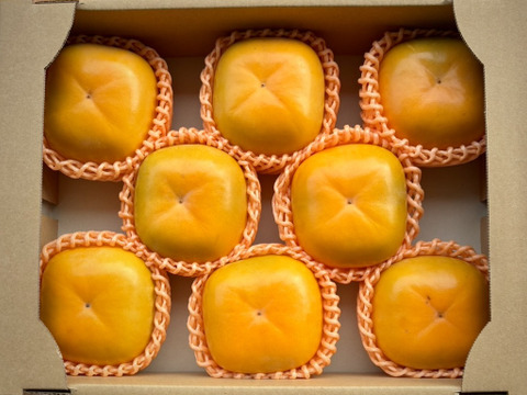 【送料500円引き🍂】数量限定⭐️  特大ひらたねなし柿🟧　4L以上 8玉入り（家庭用）