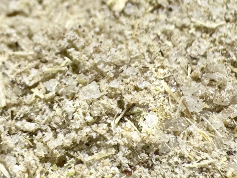 まこも塩（20g）- 山形県酒田市八幡地域 大沢地区 豪雨災害の被災農地で生き残ったマコモタケの株から生まれた塩