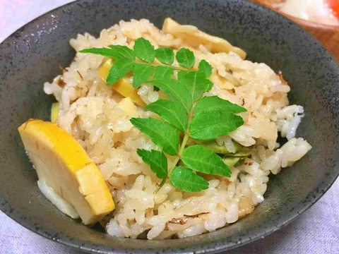 【数量限定☆山セット🎁】香りいっぱい！お得いっぱい！旬の春野菜詰め合わせ箱☆🥗🥕🥦＋山椒の葉付き🌿