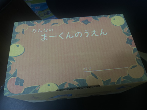 今年度最後になります。
大人気の甘くて濃厚♪まーくん家のちっちゃなみかん お試し2キロ箱