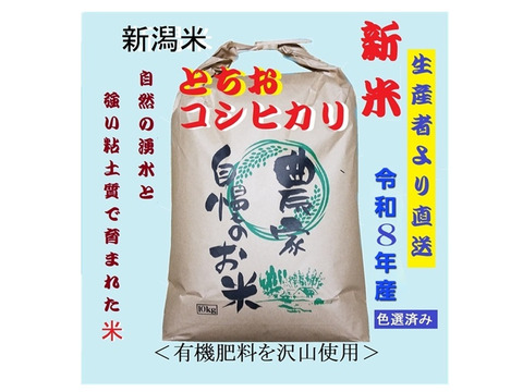 【令和８年新米予約】【農家直送】新潟・とちお産コシヒカリ10kg｜棚田育ち・雪どけ水と山の湧水が育むお米（送料相当値引き中）