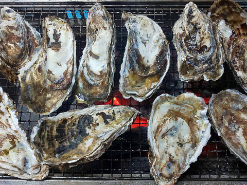 【ゲン担ぎ福袋】【福袋】ワイズユースの湿地の恵みセット①北海道根室市温根沼産カキ（2L：10個）・豆アサリ1キロ