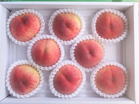 予約【規格外】白鳳桃糖度11度(2㎏箱詰め)和歌山産