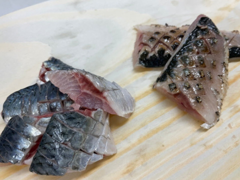 【イワシ大漁祭り】マイワシ/中羽サイズ80g前後/2.5kg【脂あり】【2/17水揚げ/発送】