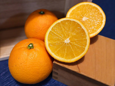 希少な国産！化学農薬不使用！華やかな香りとはっきりとした味わいのネーブルオレンジ【ご家庭用/約2kg】