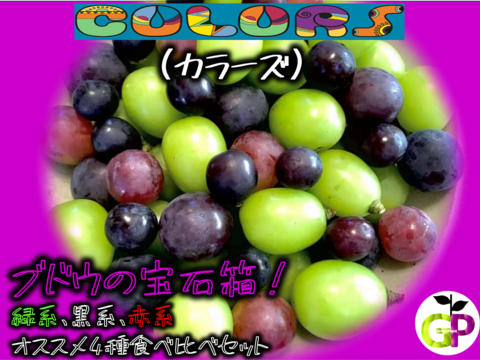 朝採り新鮮！！ブドウの宝石箱　4種食べ比べ『COLORS カラーズ』500g×1P