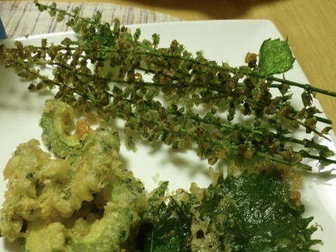 しその実　穂しそ　赤　農薬不使用