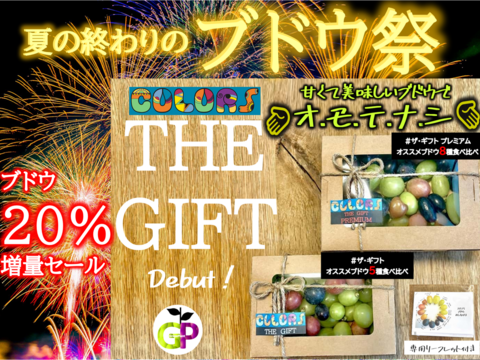 ブドウの宝石箱　 COLORS 『THE GIFT 』カラーズ ザ ギフト  ５種食べ比べ 550g×1P　朝採り新鮮！夏の終わりのブドウ祭り 只今２０％増量サービス中！！