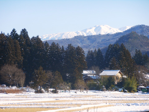 新潟県産の食べ比べセットで【こしひかり】と【恋の予感】と【ひとめぼれ】そして【縁結び】と【新之助】いう新潟県で栽培したお米で、9袋の合計2.8㎏で、12月20日～1月10日迄の注文に限る限定価格です