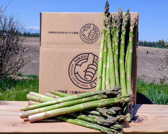 今が旬❣️北海道産アスパラ1kg(サイズいろいろ・ご家庭用)
🉐生育順調につき数量限定25%増量します