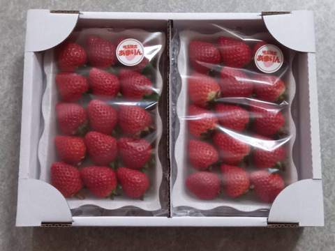 埼玉県産いちご　あまりん