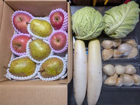 野菜と果物セット