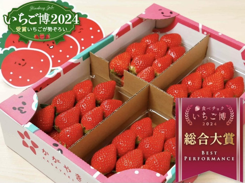 ★日付指定可能 ：【食べチョクいちご博2024博総合大賞】新鮮完熟やよいひめ（約275g×4P）