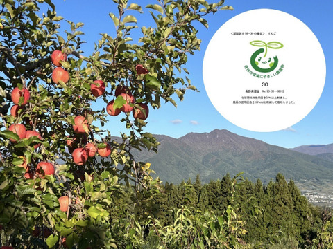 予約‼️有機肥料、農薬30％減　長野県産秋映え林檎