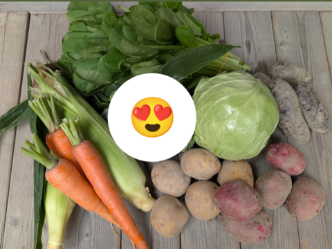 京の野菜セット【漢方栽培】