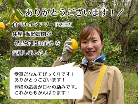 柑橘グランプリ 食べるアロマ賞！奇跡の果実『黄金柑』ゴールデンオレンジ 2kg あふれる果汁とさわやかな甘み 黄蜜柑 仲屋 海瀬農園