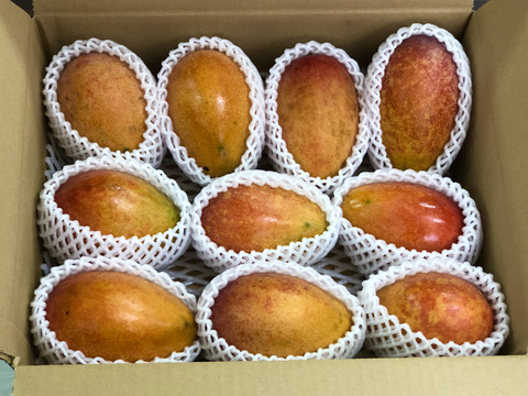 ★2025年度最終販売★加工用：完熟マンゴー5kg 【沖縄県宮古島産】