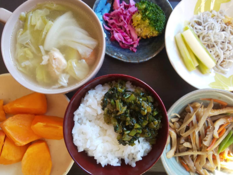 ミニ紫キャベツ　３キロ