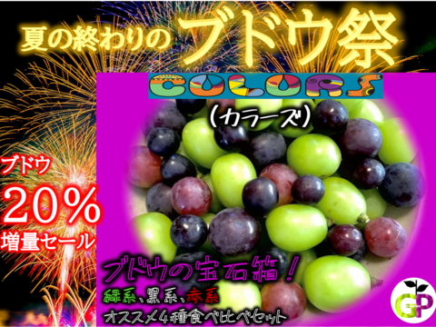 ブドウの宝石箱 4種食べ比べ『COLORS カラーズ』500g×1P 朝採り