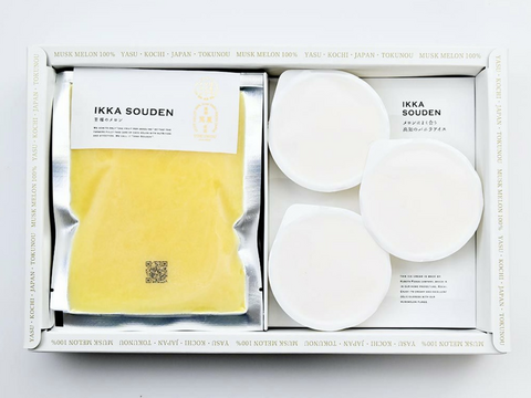 【父の日ギフト】マスクメロンのピューレ3袋と高知のバニラアイス3個