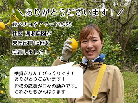 食べるアロマ賞！3/28より順次発送【傷あり】奇跡の果実『黄金柑』ゴールデンオレンジ 2kg あふれる果汁とさわやかな甘み 黄蜜柑 仲屋 海瀬農園