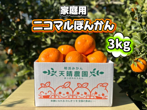 【愛媛県産】季節限定　甘味がギュッと詰まったポンカン　家庭用　3ｋｇ