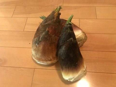 新鮮！朝採り　旬の筍３ｋｇ