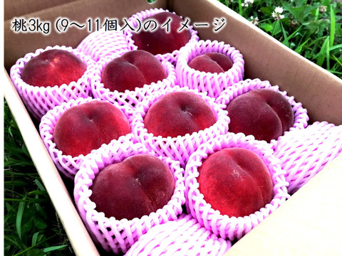 【有機栽培の美味しい桃『日川白鳳』約4kg】自然に優しく希少でジューシーな天然桃(12～15個入)！