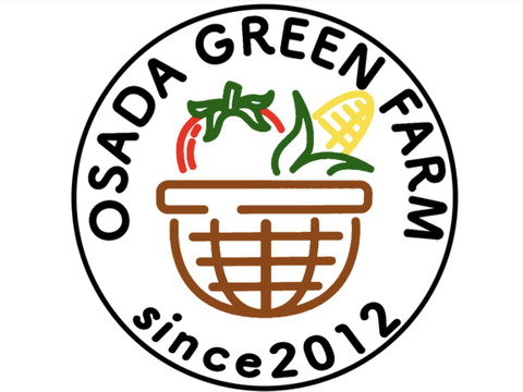 7月発送　あまーい！フルーツのような甘さ　ドルチェドリーム(とうもろこし)4kg 冷蔵発送