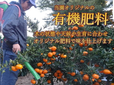 【厳選小粒５ｋｇ】薄皮！濃厚！甘～い！二段熟成の完熟みかん「熟成味柑」　小玉サイズ　秀品　５ｋｇ【172】