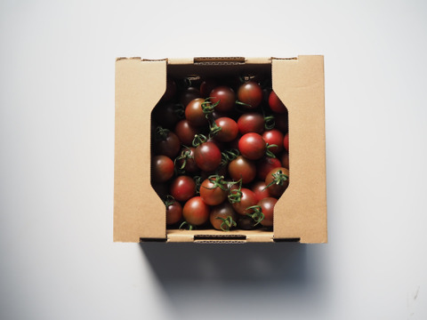 紫色ミニトマト 1kg【ブドウようなトマト】熊本県産：ギフトメッセージ対応