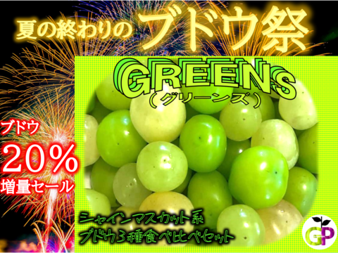 シャインマスカット系3種食べ比べ　『GREENS　グリーンズ』　500g×1P　朝採り新鮮！夏の終わりのブドウ祭り 只今２０％増量サービス中！！