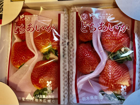特大(2P) 500g以上【いちご・とちあいか】どでかいビックリサイズ厳選いちご★栃木県産いちご「とちあいか」(２パックx280g)●甘さがキラリ大粒いちご●お届け日指定可